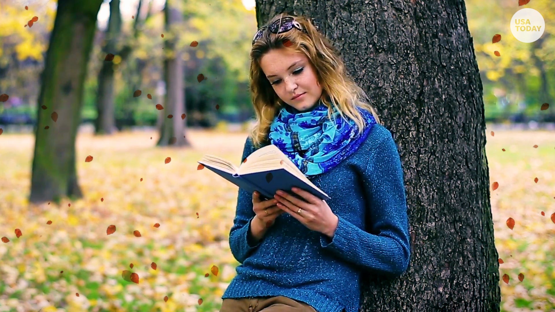 unsheltered novel unsheltered novel