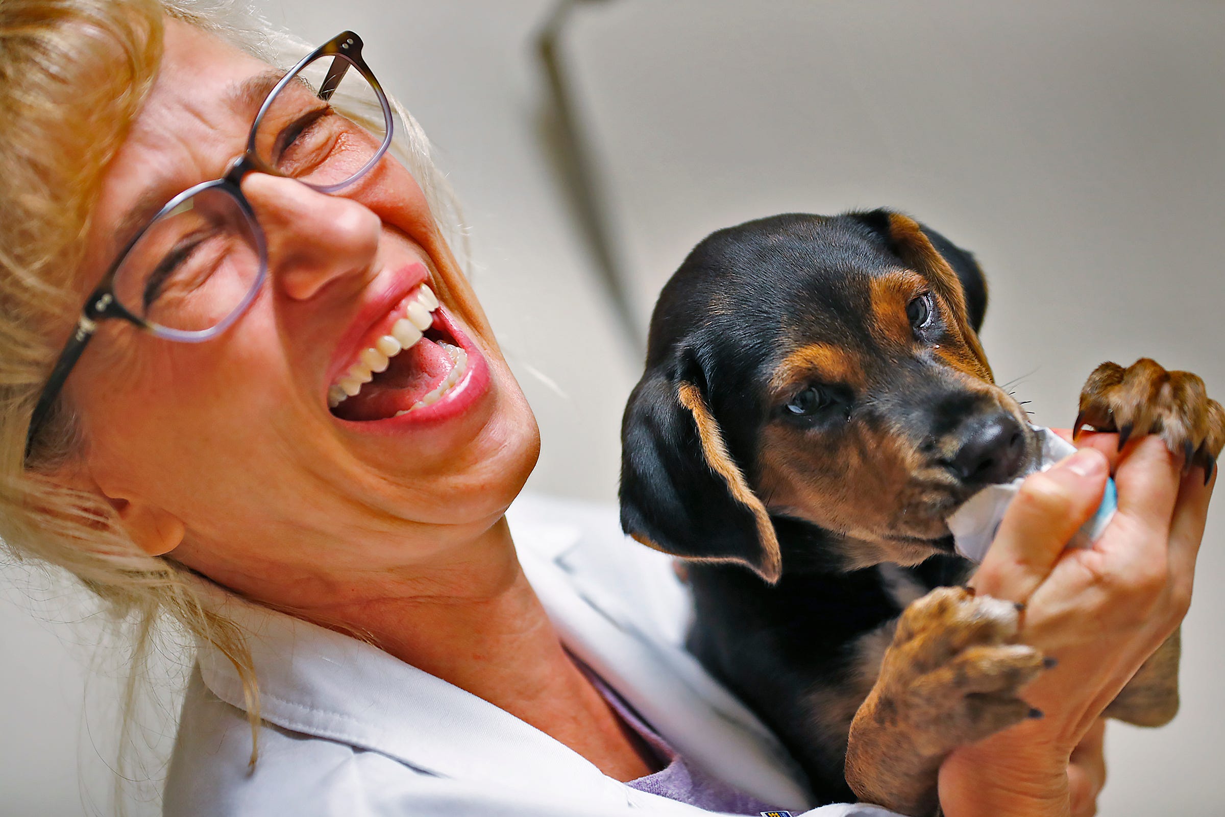 dr penny veterinarian