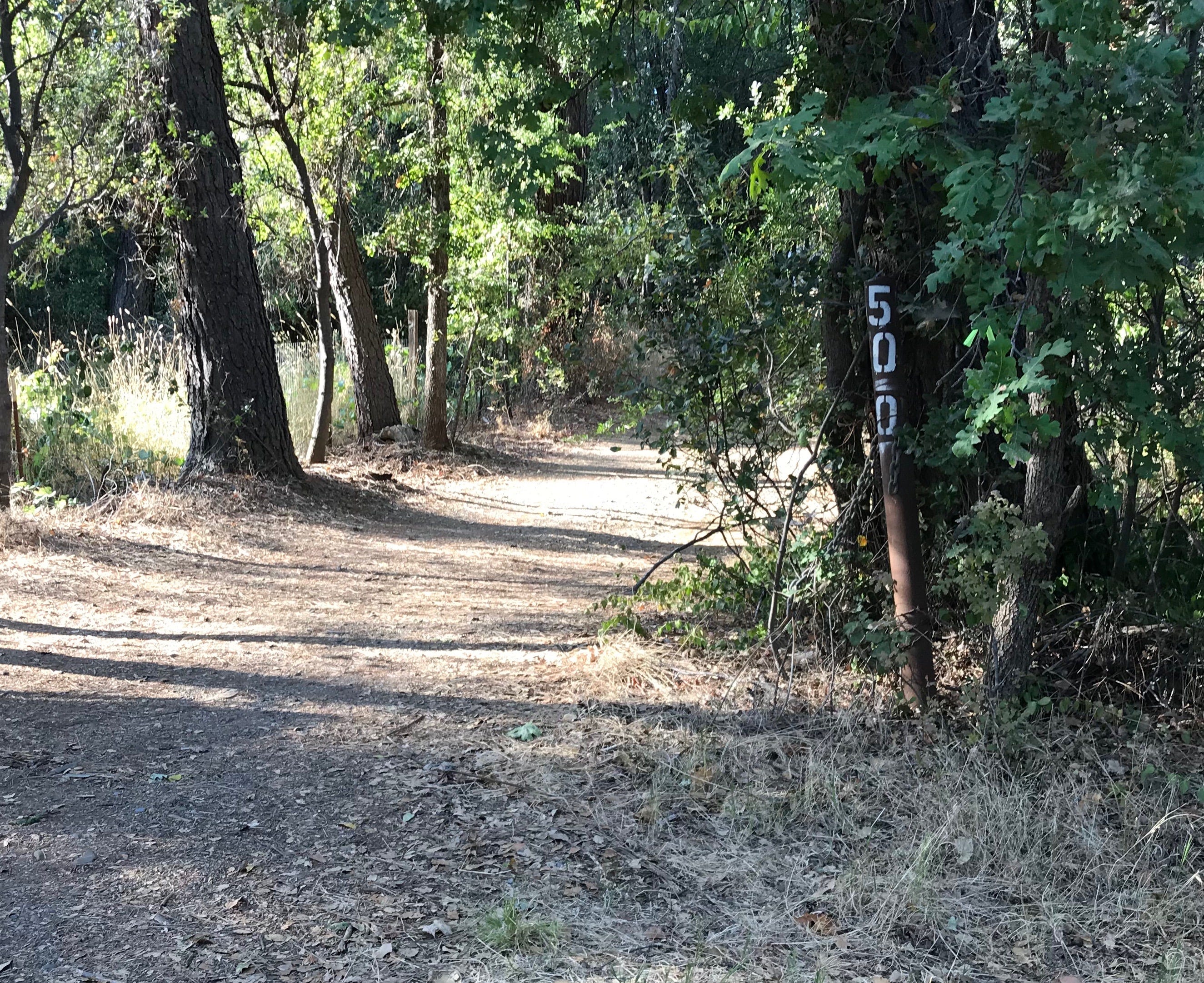 Exclusive dating services in shasta lake ca.