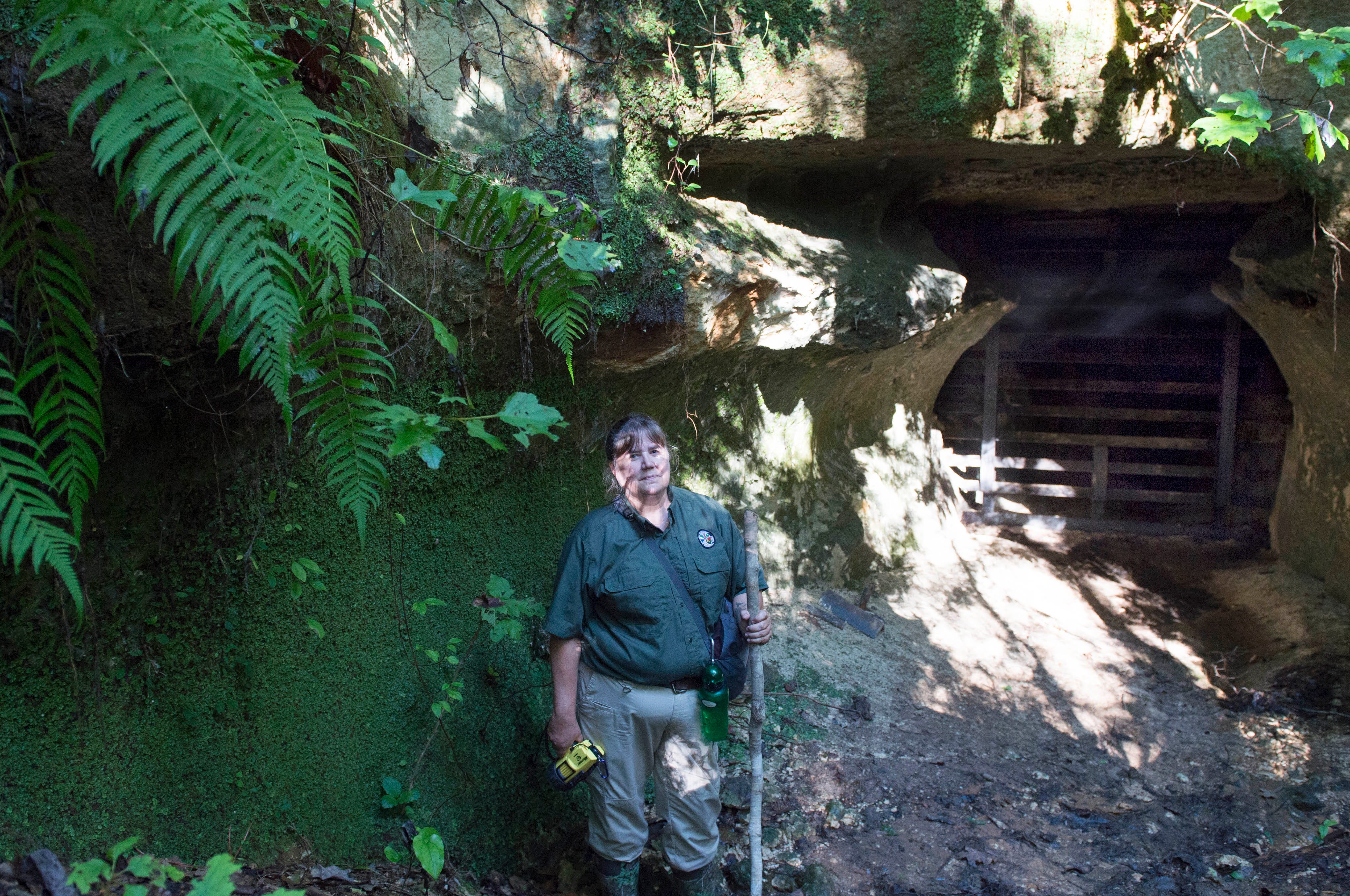 Bat Conservation In Mississippi Bat Cave Now Gated Community