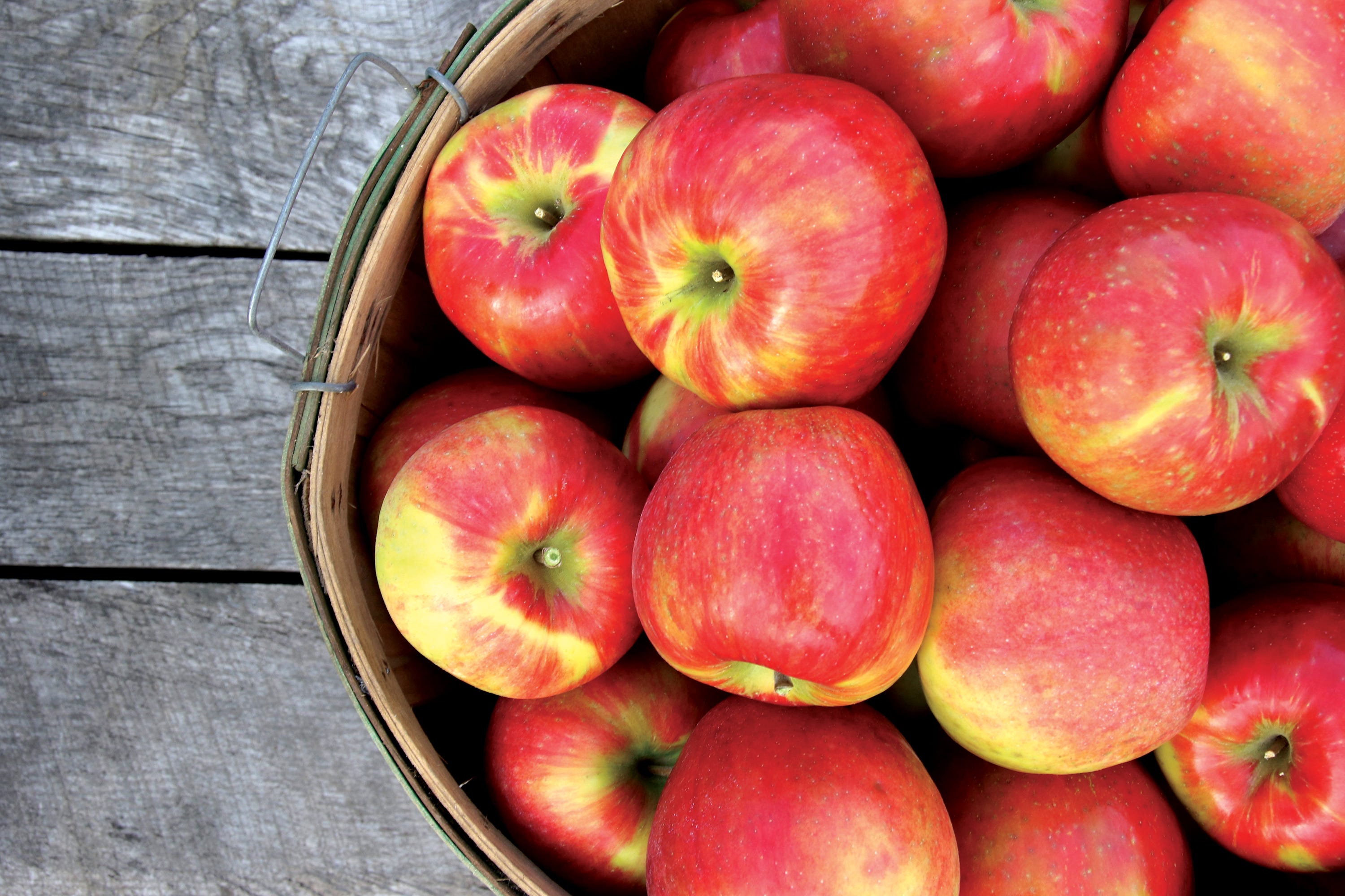 It S Apple Season In Michigan See The Leading Varieties