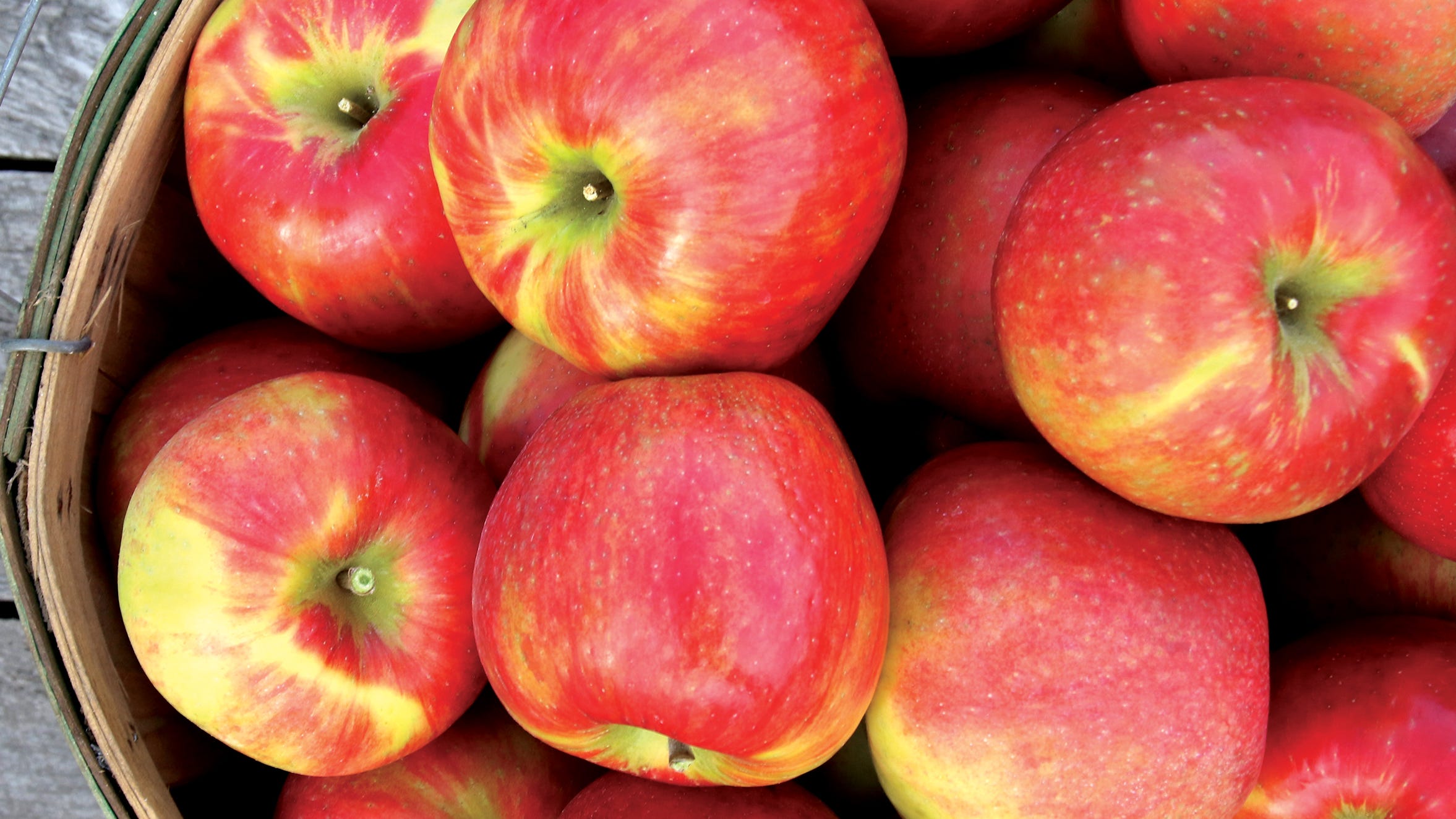 It S Apple Season In Michigan See The Leading Varieties