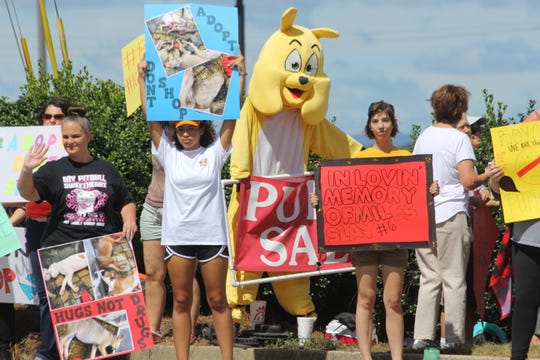 Knoxville Puppy Zone owner responds to allegations during ...