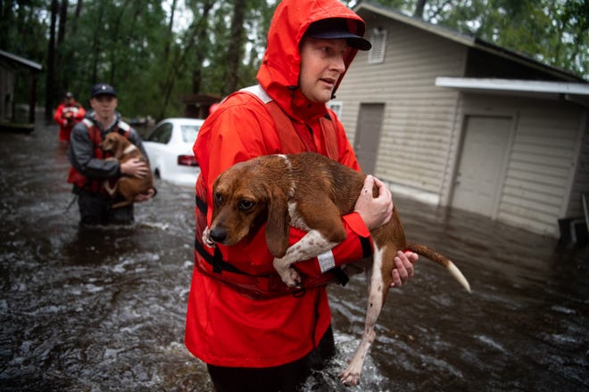 Coast Guardsman Tyler Elliott, from Louisville, Ky., helps rescue one of 14 dogs, including 10 beagles, from a flooded home in Columbus County, N.C., Sunday, Sept. 16, 2018.