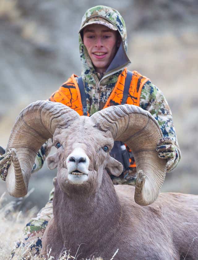 Montana Hunter S Missouri River Breaks Bighorn Ram Ties World Record
