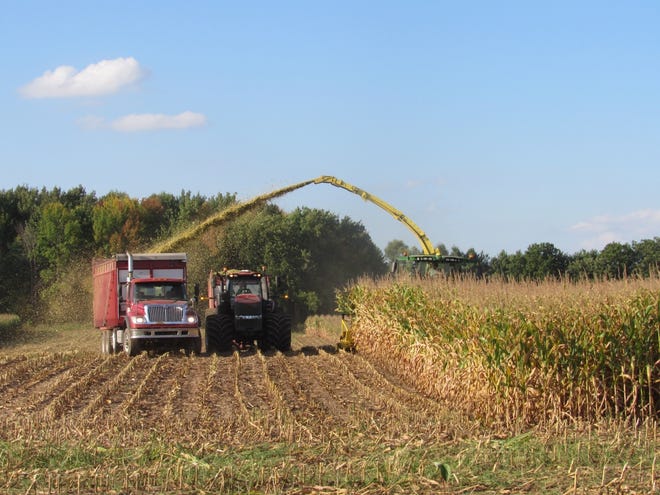 Parts of Wisconsin have been dry, corn silage will be coming off early and with an early harvest and short forage supplies there is interest in planting triticale or cereal rye for harvest next spring to extend forage supplies.