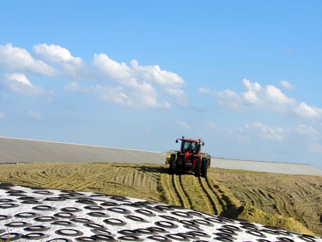 With forage inventories being low this year, it is more important than ever to make sure that the aspects of silage harvest we can manage, we do well.