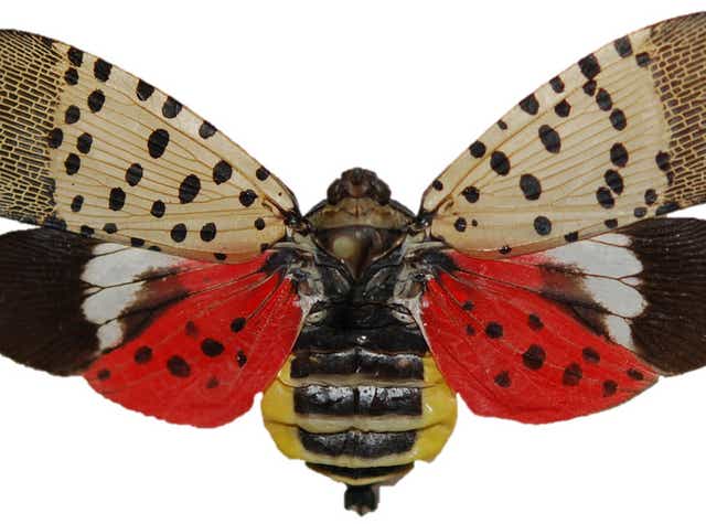 News From Around Our 50 States