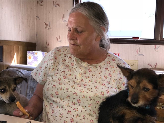 Lynn Adams gives a French fry to her dog Dutchess while Scamp looks on. She'd lived for weeks in a tent on the burned-out property where her rented home once stood. Shasta Youth Alliance, a charity that helps Carr Fire victims, helped her land the donated RV that's now her home.