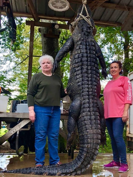 Image result for Grandma kills 12-foot alligator