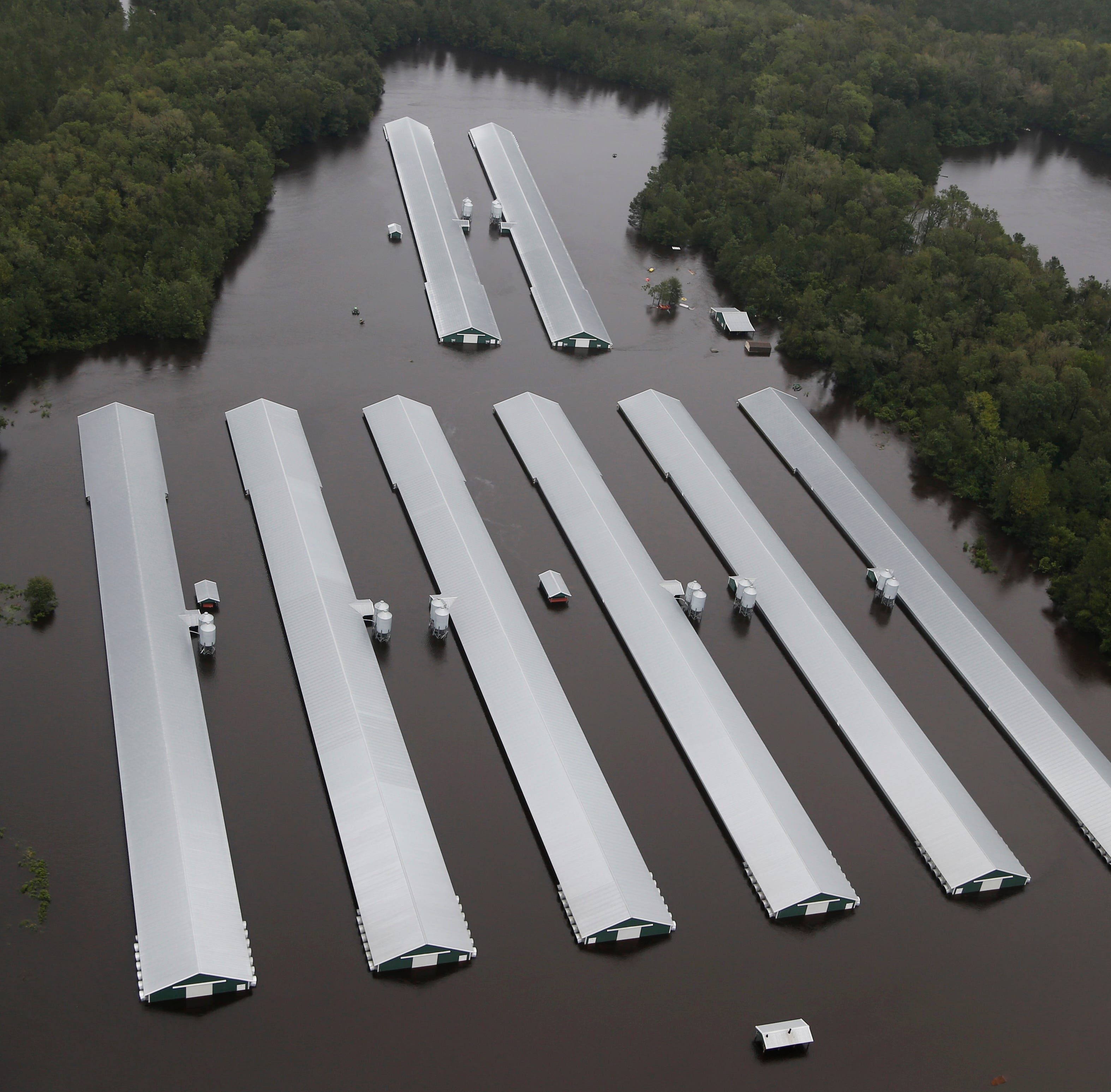 Chicken farm buildings are inundated with floodwater from Hurricane Florence near Trenton, N.C.