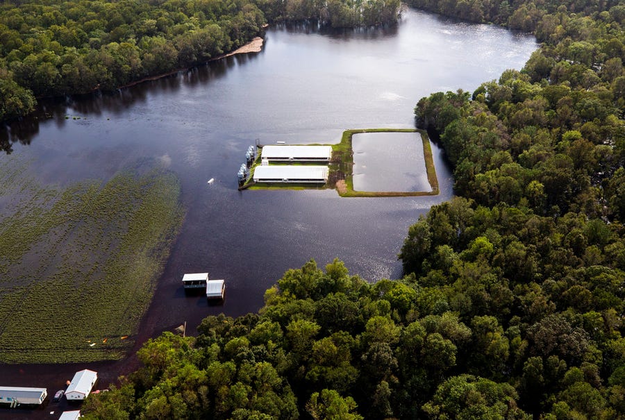 Flood waters from Hurricane Florence surround two hog houses and an animal-waste lagoon near Kinston, N.C.