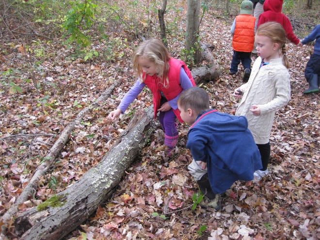 Young Explorers learn about science and nature at the Environmental Education Center, 190 Lord Stirling Road in the Basking Ridge section of Bernards.