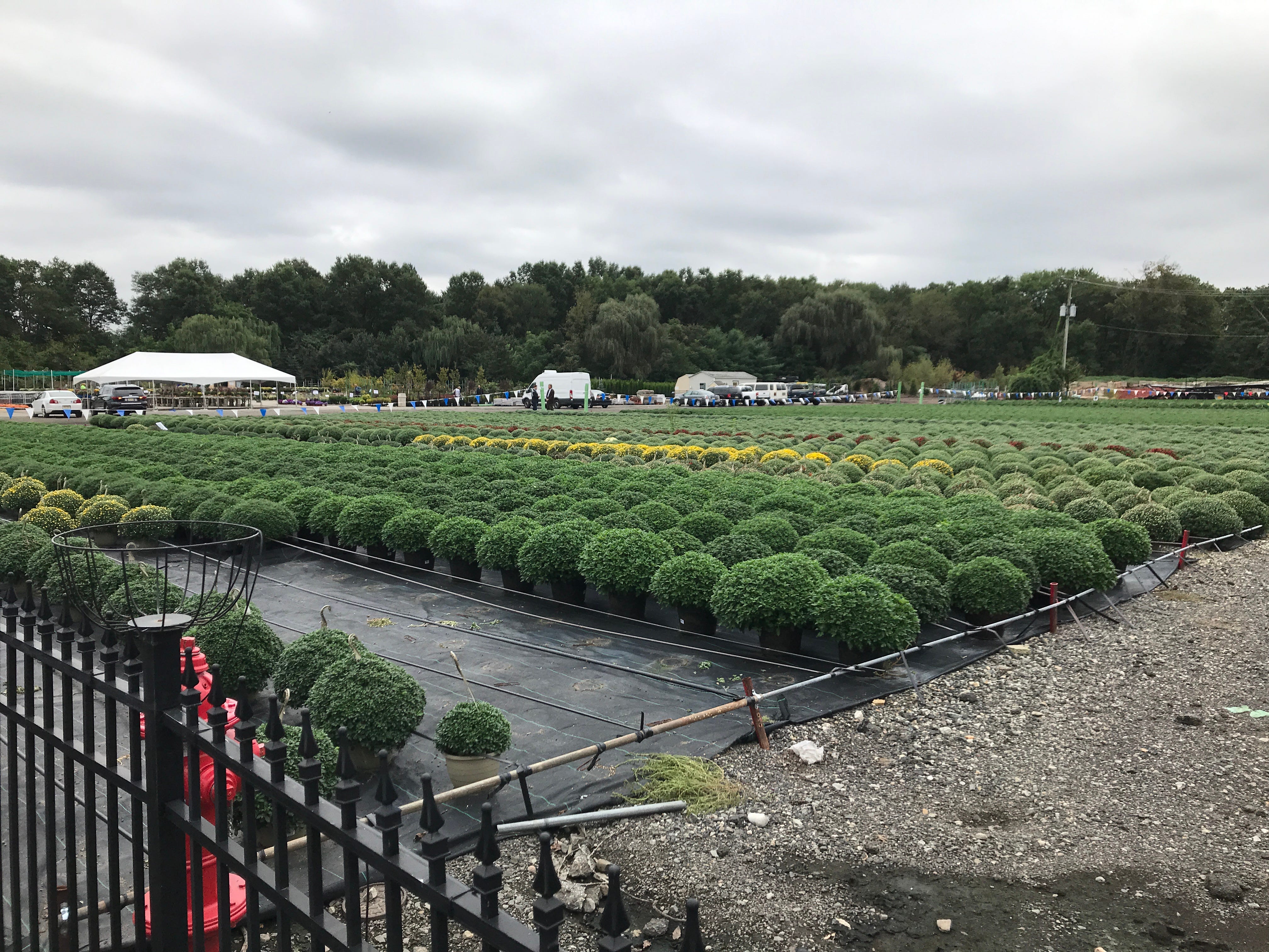 GroRite Garden Center in Lincoln Park NJ is closing doors