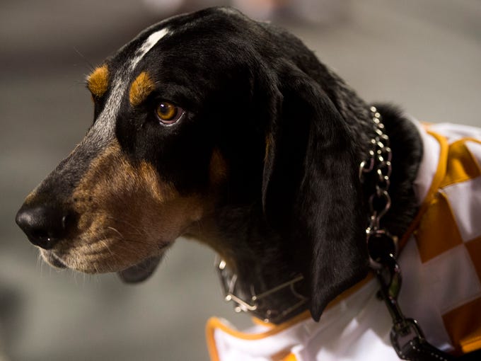 UT Vols: Smokey and other Tennessee mascots