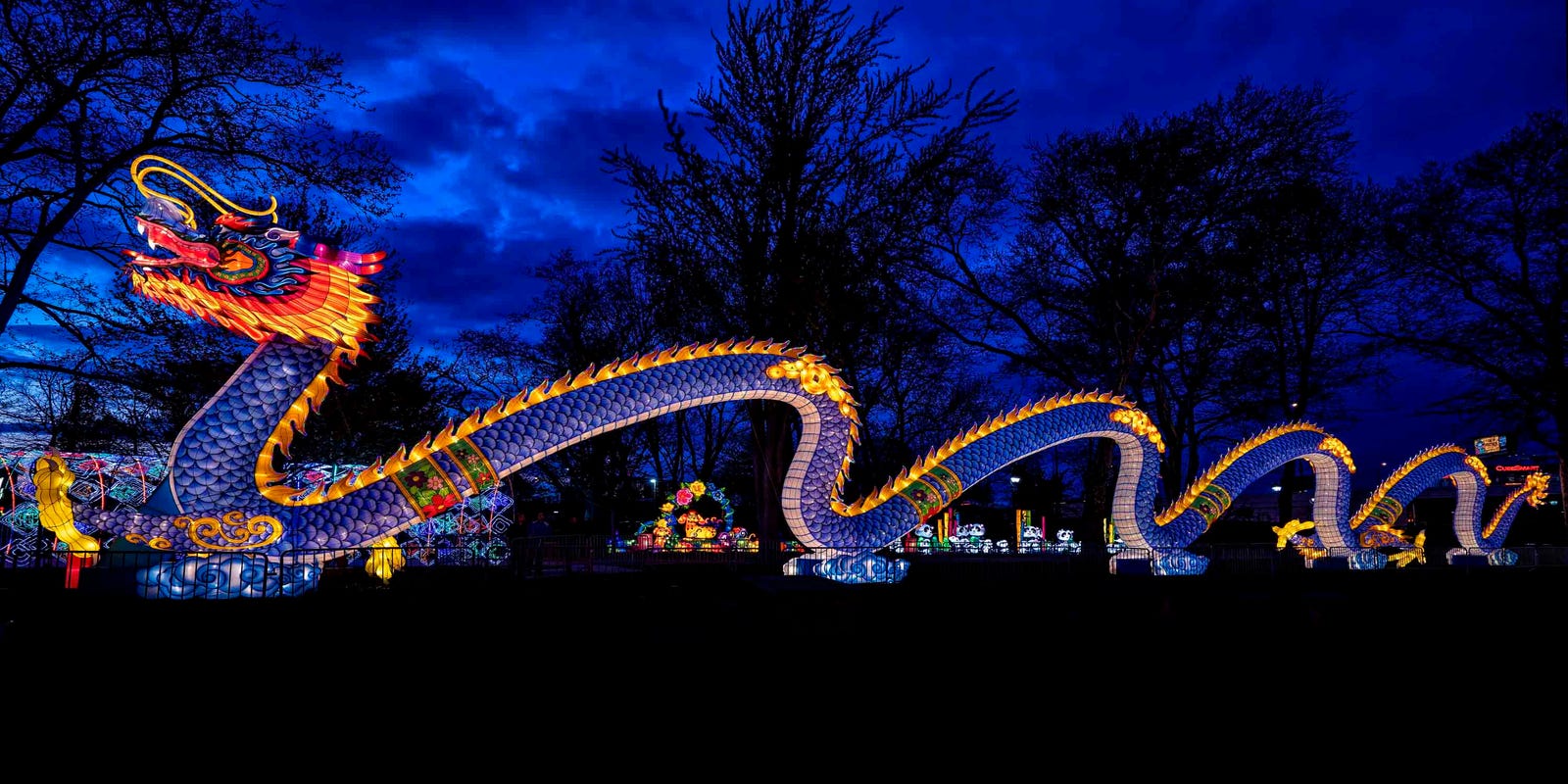 Dragon Lights Albuquerque Debuts In New Mexico Oct 5