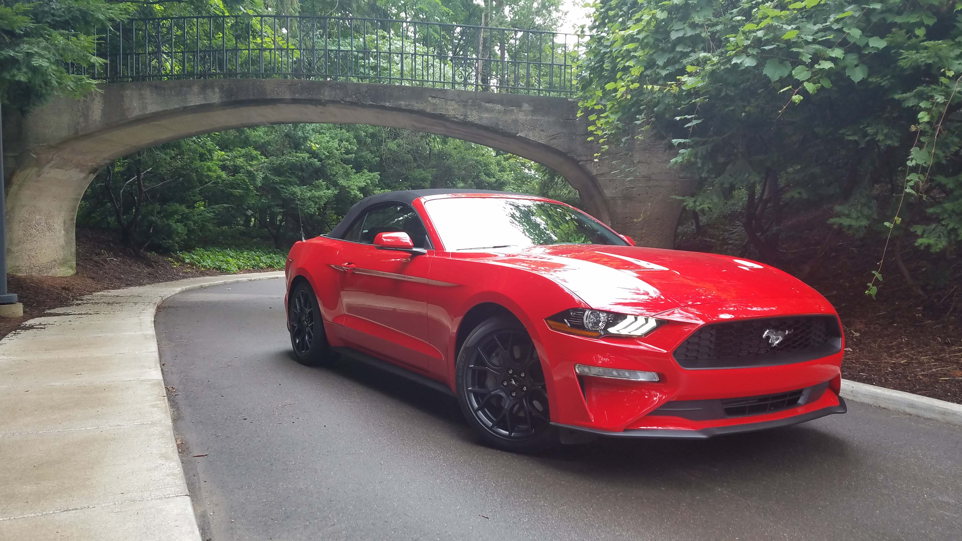 The Mustang Convertible cuts a dashing figure. But a four-banger under the hood doesn't fit the iconic muscle car. Wish I had a V-8.