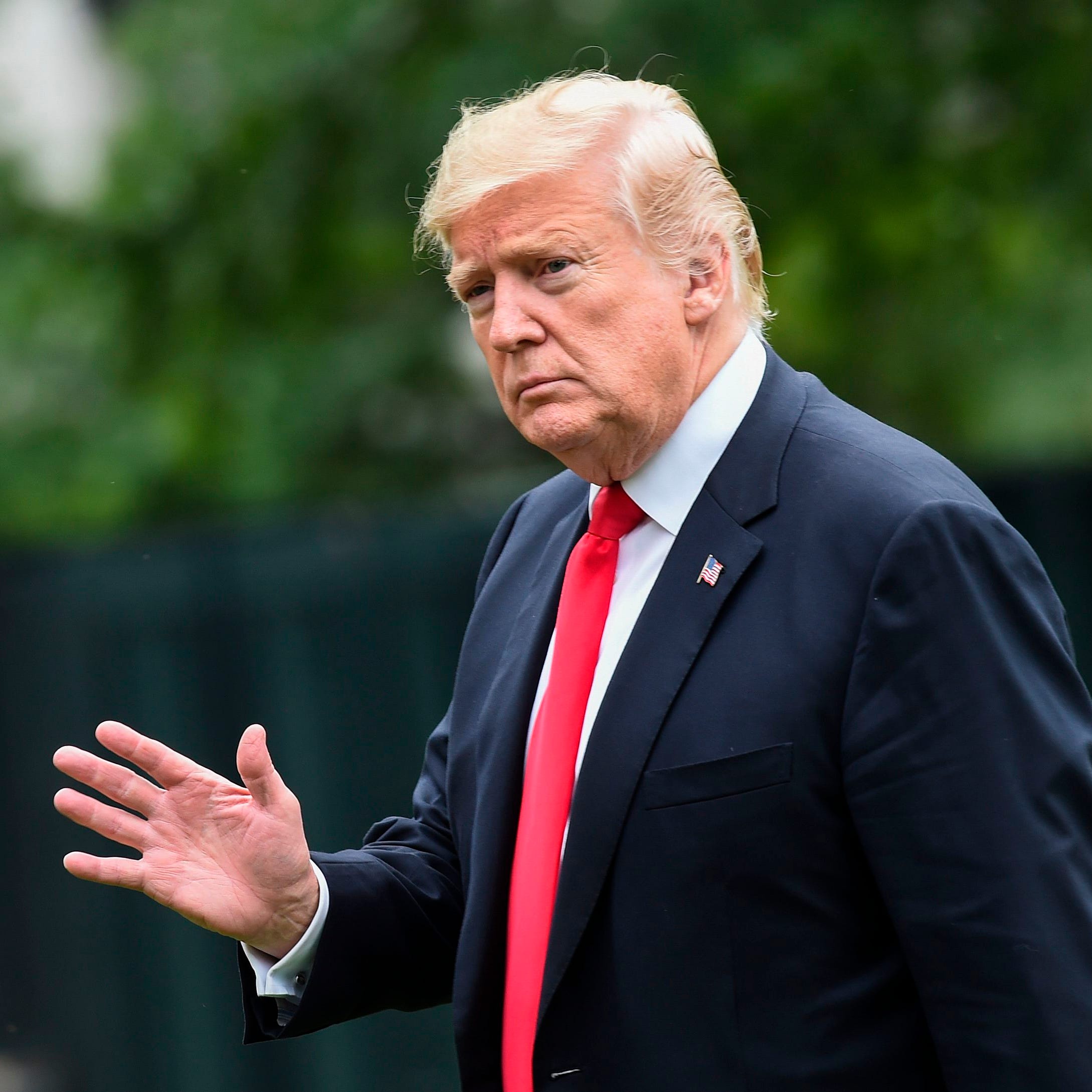 President Donald Trump is pictured waving on the South Lawn of the White House in Washington D.C.