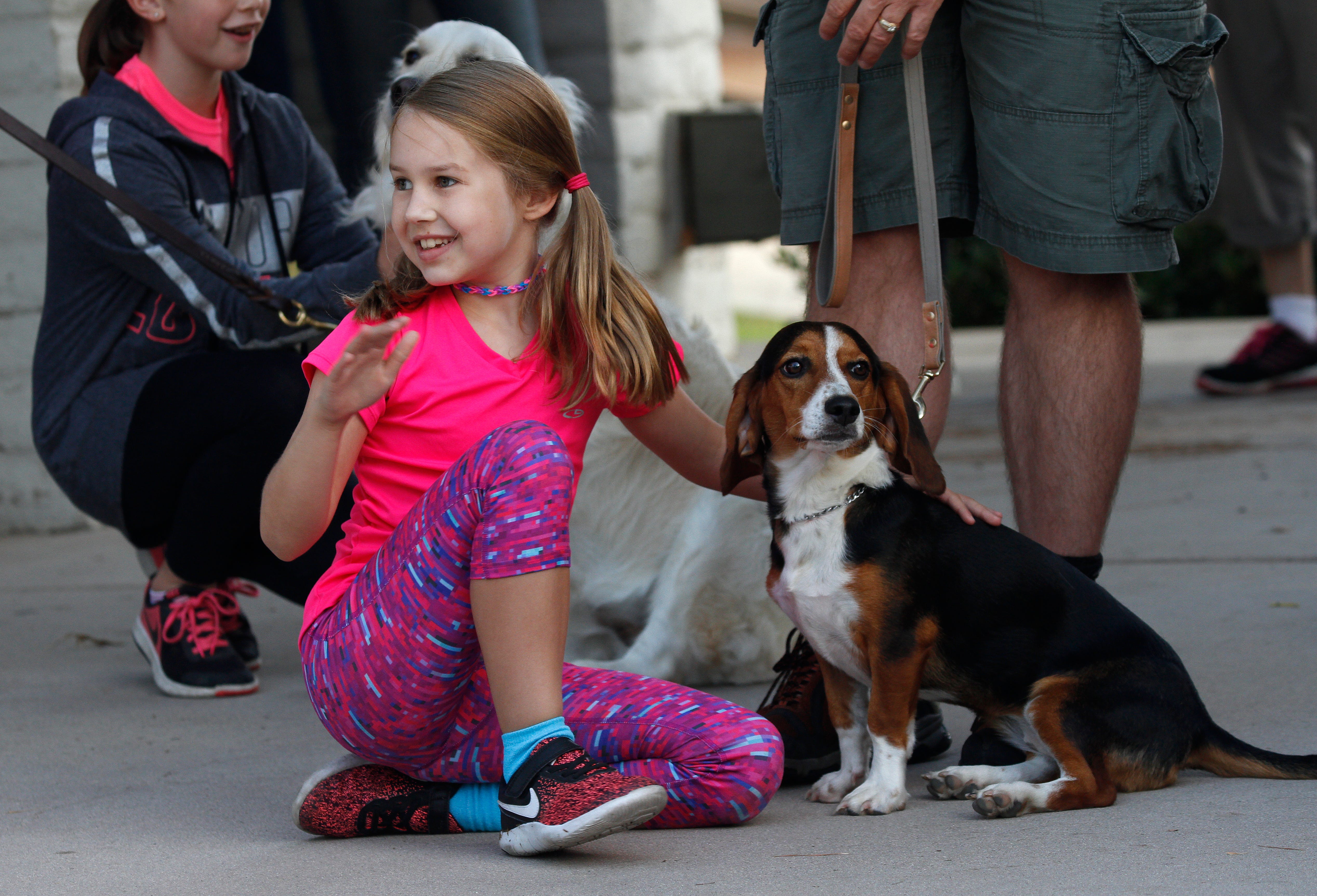 Simi Valley goes to the dogs during Wag 'n' Walk