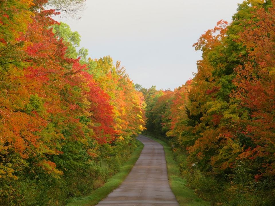 Michigan Fall Color Chart