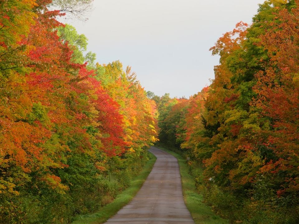 Week by week: Here's when Michigan's fall colors will peak in 2020