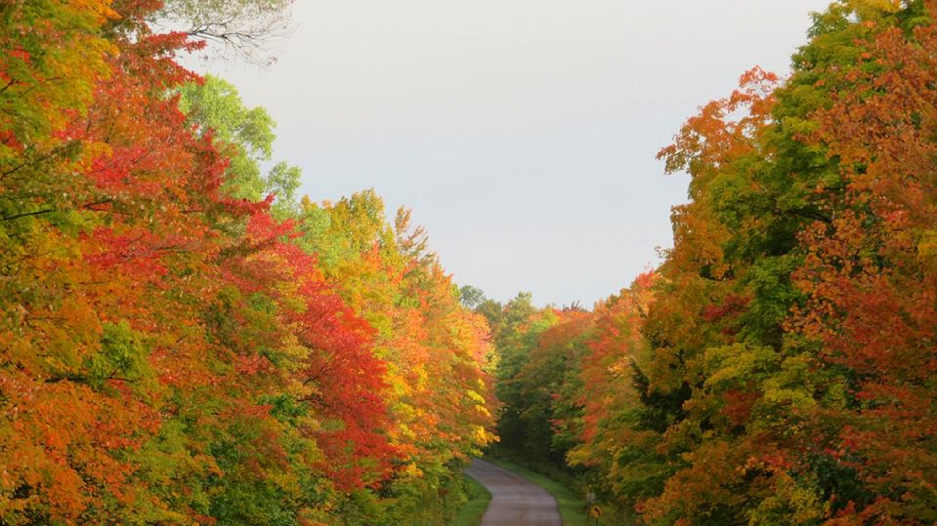 Michigan's Upper Peninsula showing brilliant colors of fall