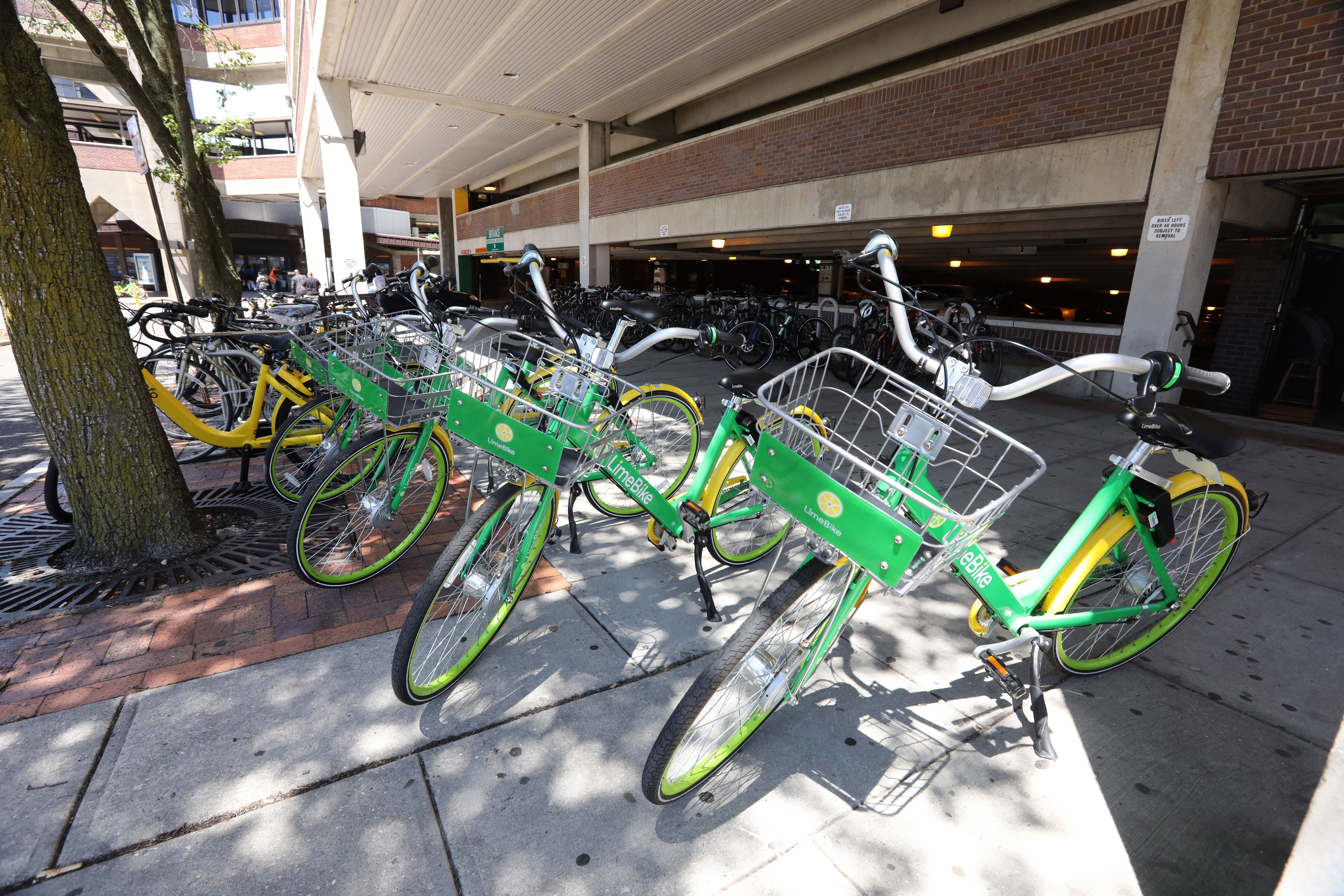 limebike hours