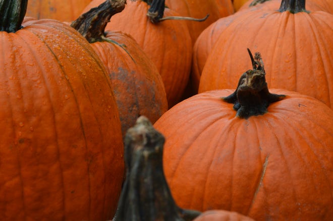 Lindner's Pumpkin Farm is open from 10 a.m. to 6 p.m. daily through Oct. 31.