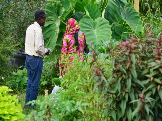 Surrounded By Mayhem Garden Brings Life To Struggling Neighborhood