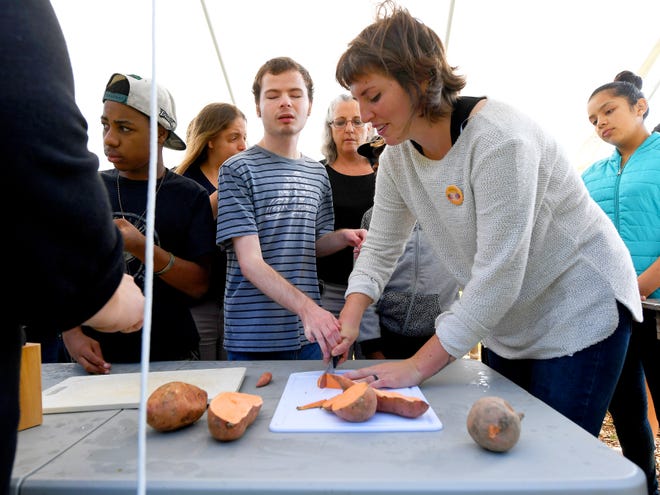 Emily Row (right), CROPS instructor and horticulture manager, assists Tommy Adams, a blind adult student at the school, with slicing one of the sweet potatoes grown on their farm in a class at Virginia School for the Deaf and Blind's educational urban farm on Monday, Oct. 02, 2018.