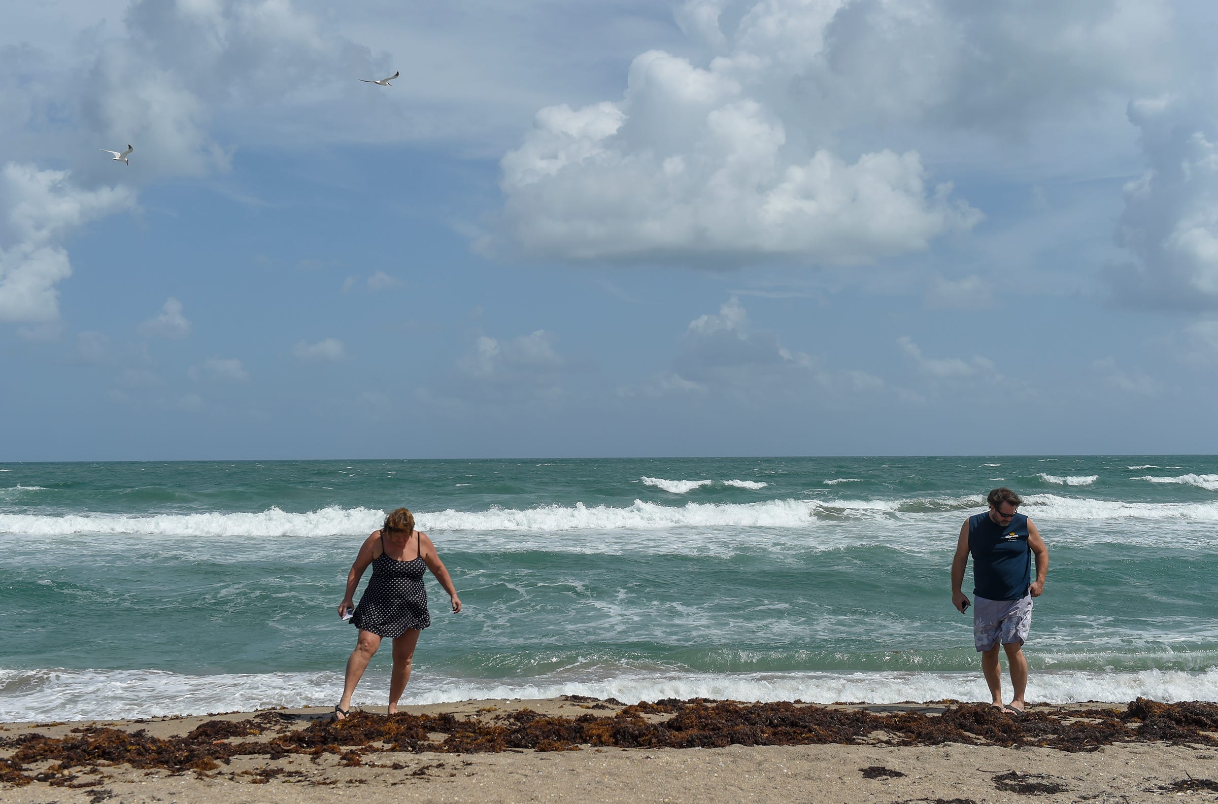 Tide Chart Horseshoe Beach Florida