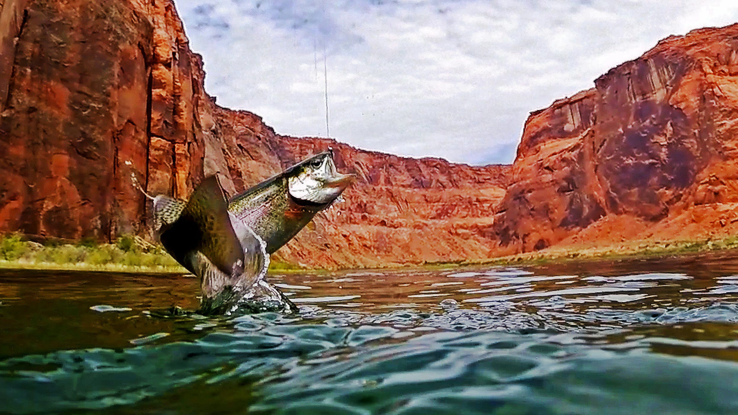Fly Fishing Lees Ferry: The Complete Guide to Fishing and Boating the  Colorado River Below Glen Canyon Dam