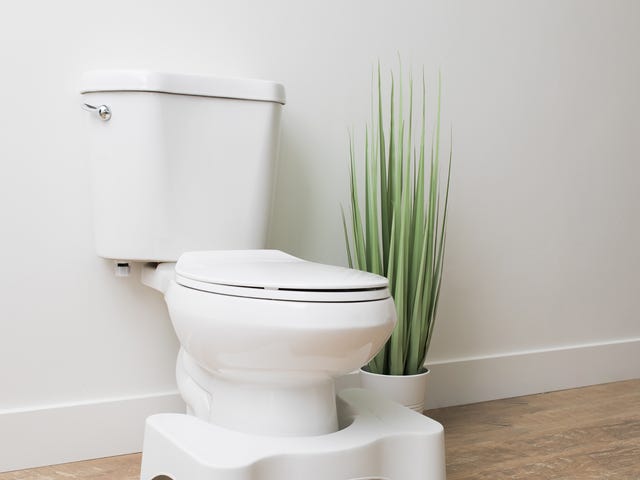 The Squatty Potty is one of the top-selling products featured on "Shark Tank."