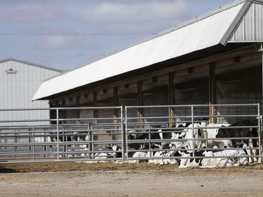 Residents living near a livestock operation on the Kevin Kaiser property at W61111 Kinker Road in the town of Friendship say the farm is located too close to Lake Winnebago, and threatens the environment and their quality of life.
