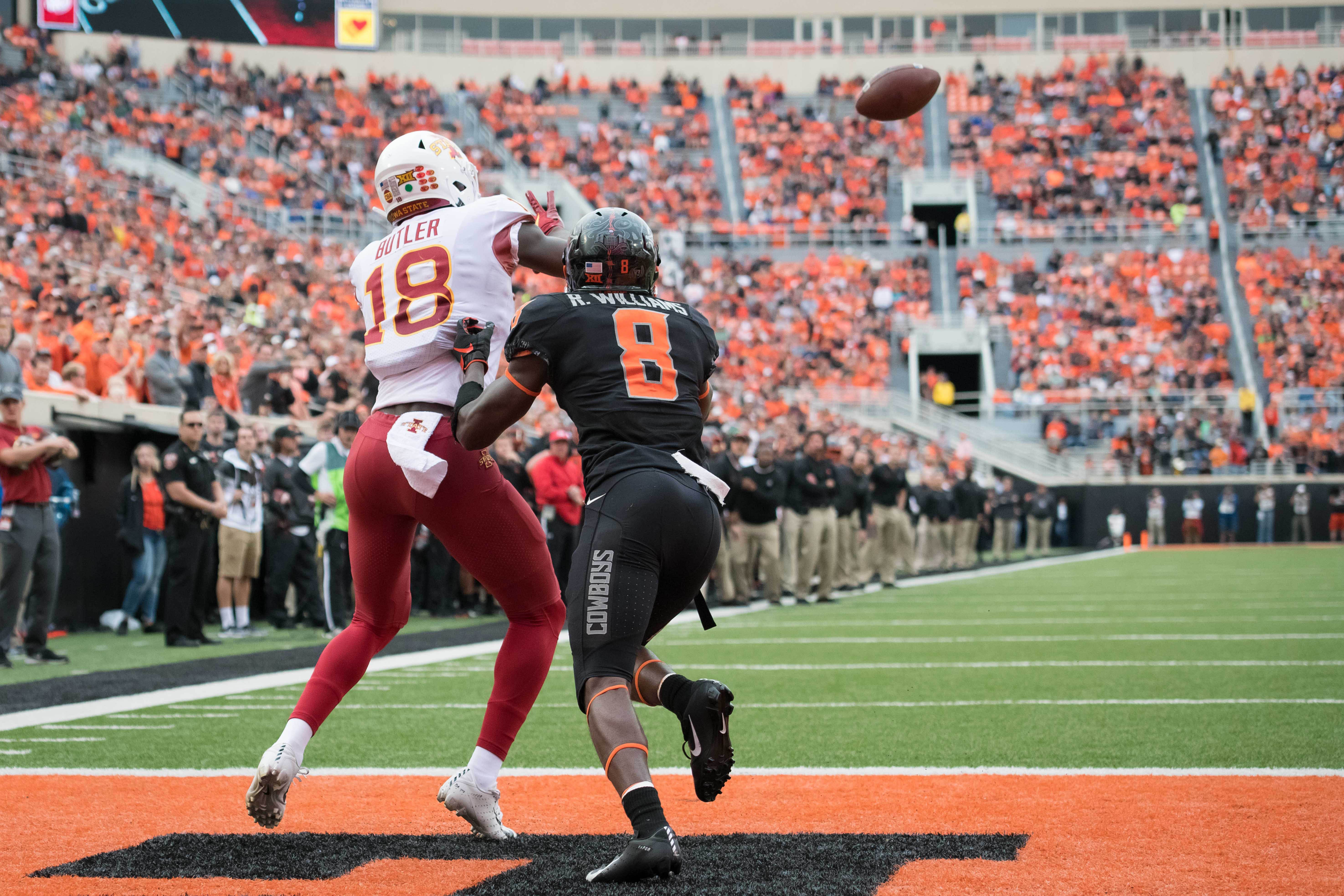 Cats, Dogs and Ostate Sports