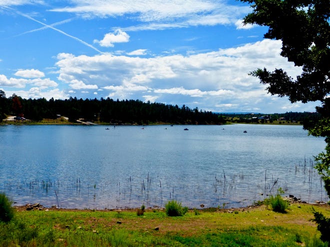Fool Hollow Lake Recreation Area can be found in the pine forest just outside of Show Low.