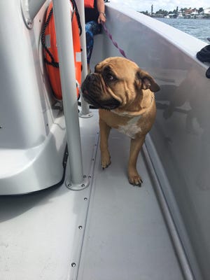 The Coast Guard rescued two boaters and their dog Tuesday off Fort Myers Beach.