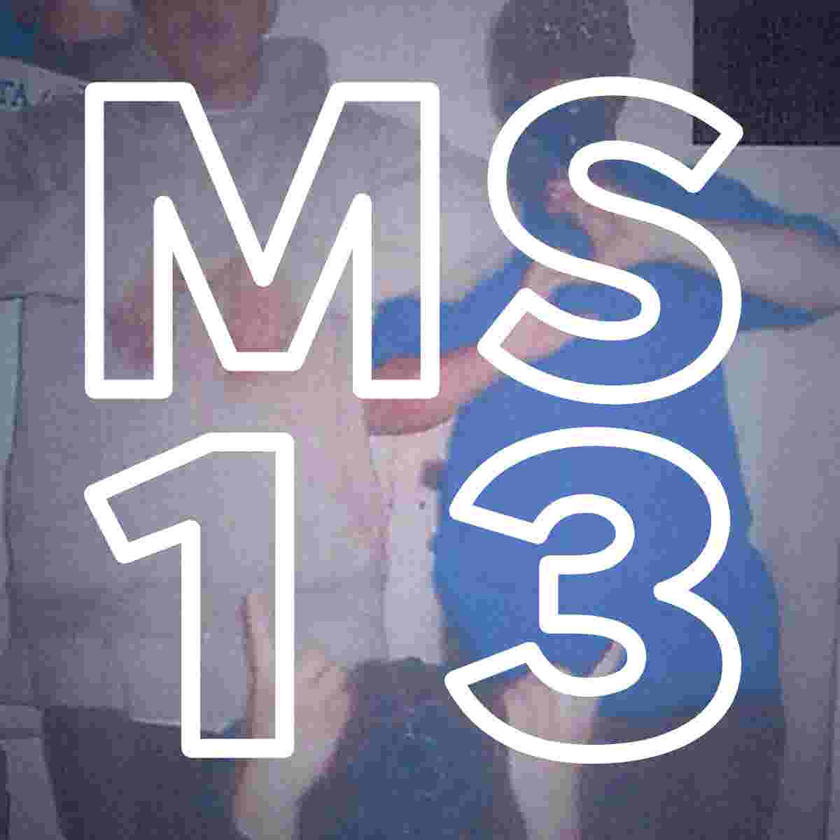 Ms 13 Is Next Door Gang Infects Nj Communities With Murder Drugs