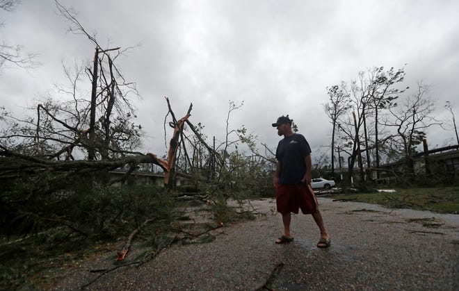 James Prescott surveys the damage as the remnants of Hurricane Michael move through Panama City on Wednesday, Oct. 10, 2018. He was visiting a friend and was not able to leave the street due to downed trees.