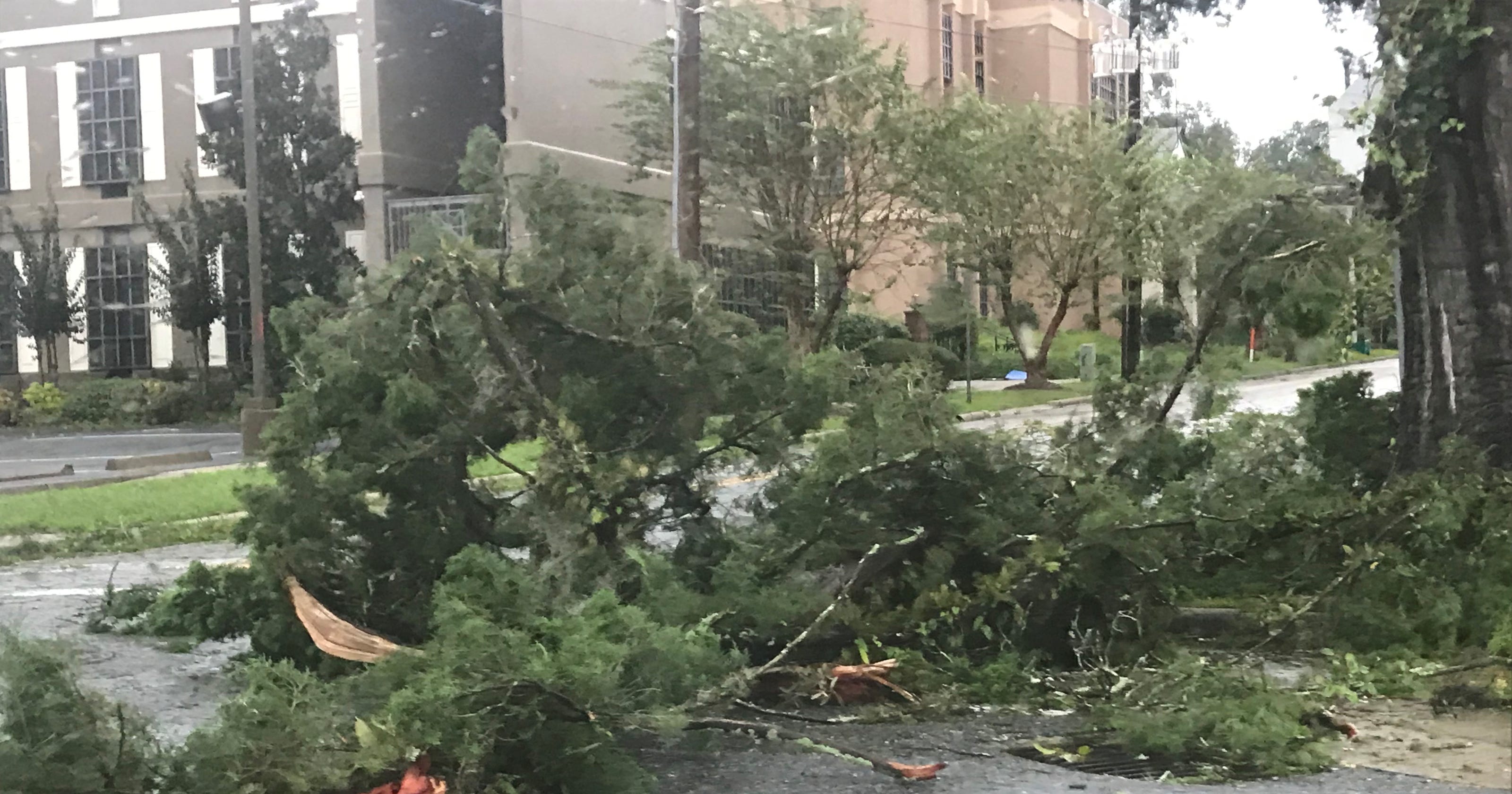 Hurricane Michael Tallahassee's photos from the storm, aftermath