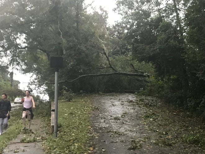 A fallen tree blocks Briarcliff Drive off Mahan near Leon High
