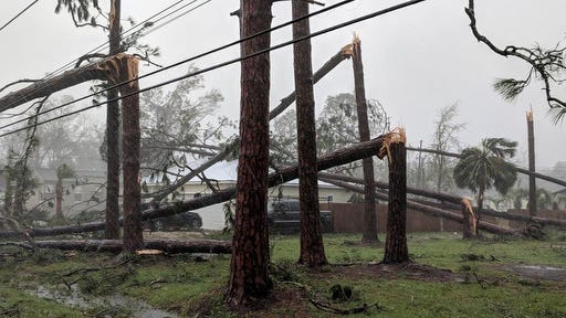 Pine trees litter a yard in Port St. Joe, Fla., on Garrison Avenue on Wednesday,  after Hurricane Michael made landfall in the Florida Panhandle. Hurricane Michael formed off the coast of Cuba carrying major Category 4 landfall in the Florida Panhandle. Surge in the Big Bend area, along with catastrophic winds at 155mph.