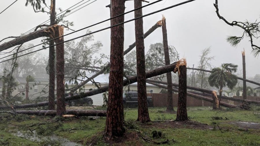 Pine trees litter a yard in Port St. Joe, Fla., on Garrison Avenue on Wednesday,  after Hurricane Michael made landfall in the Florida Panhandle. Hurricane Michael formed off the coast of Cuba carrying major Category 4 landfall in the Florida Panhandle. Surge in the Big Bend area, along with catastrophic winds at 155mph.