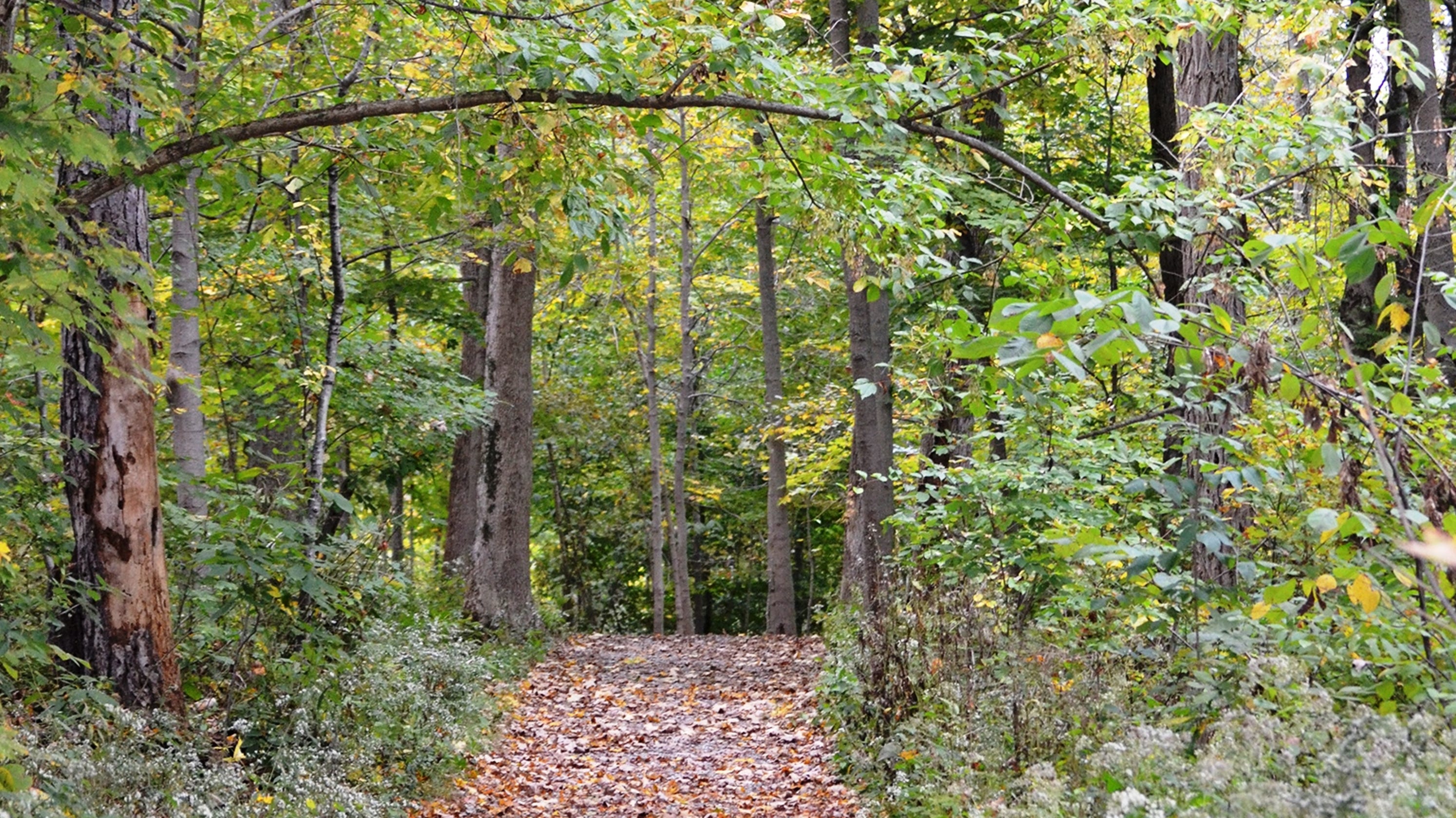 Cincinnati Nature Center Ten trails to hike
