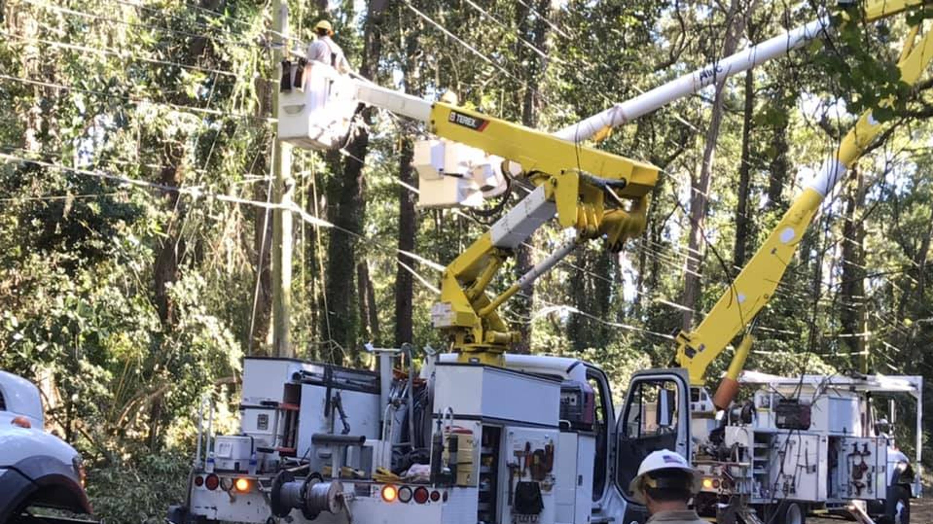 two-thirds-of-city-of-tallahassee-electric-customers-have-power-again