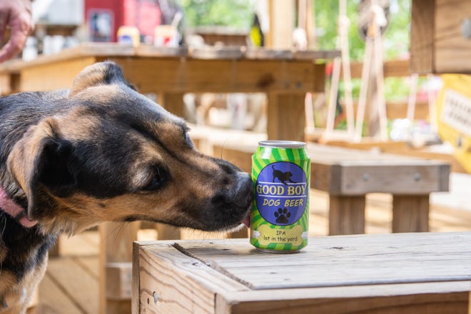 Good Boy Dog Beer in Houston is crafting brews for dogs that provide health benefits and the chance to share a cold one with your pooch.