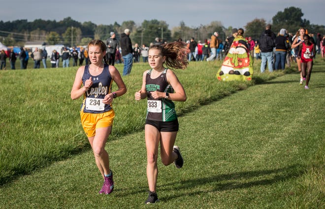 Delta's Camryn Eldridge and Yorktown's Sara Barnhizer keep pace with one another during the cross country regional on Oct. 13 at the Muncie Sportsplex. Delta and Yorktown both advanced as a team on the girls side.