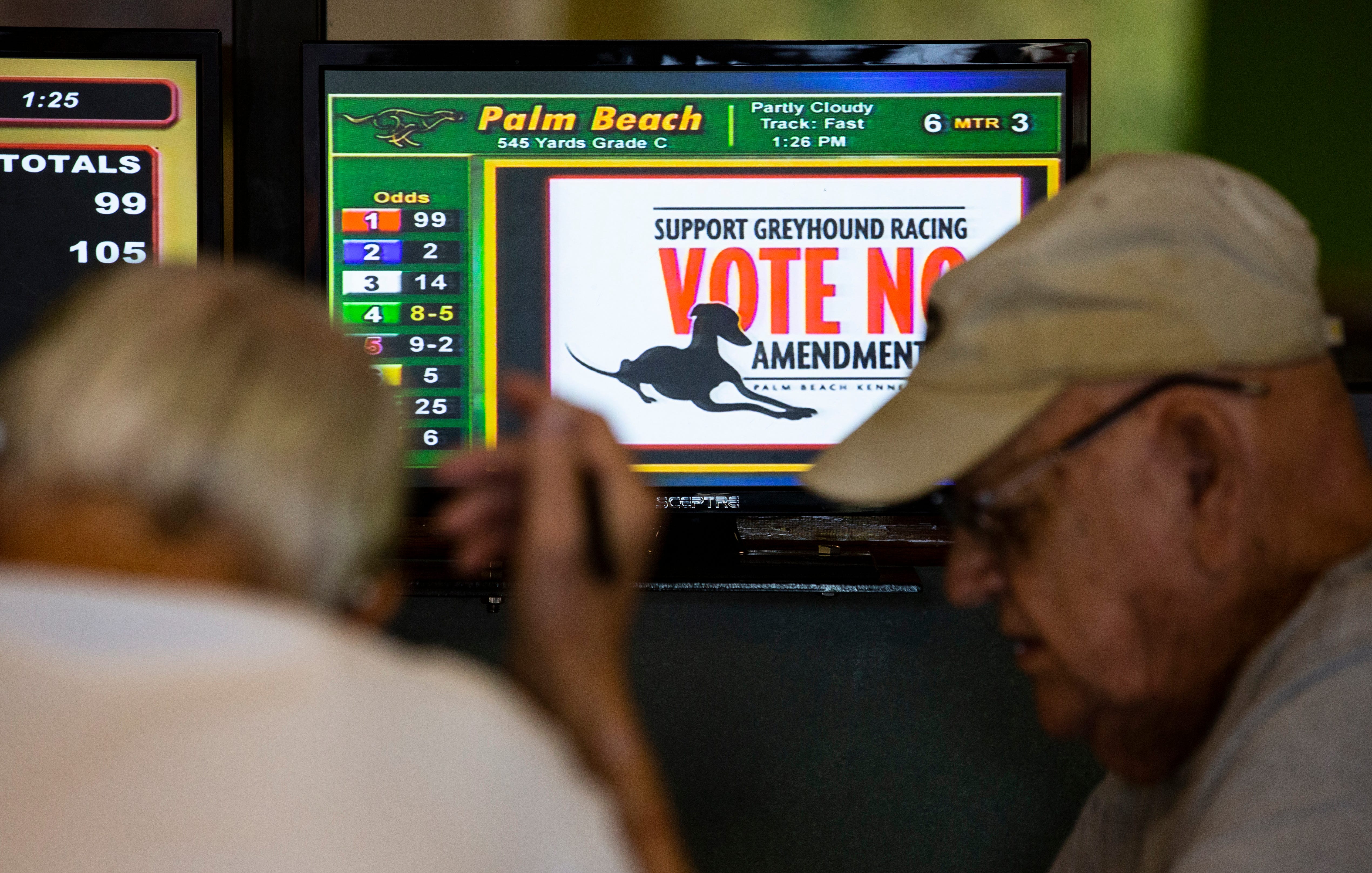 Greyhound Racing Florida Amendment Aims To Close 11 Dog Tracks