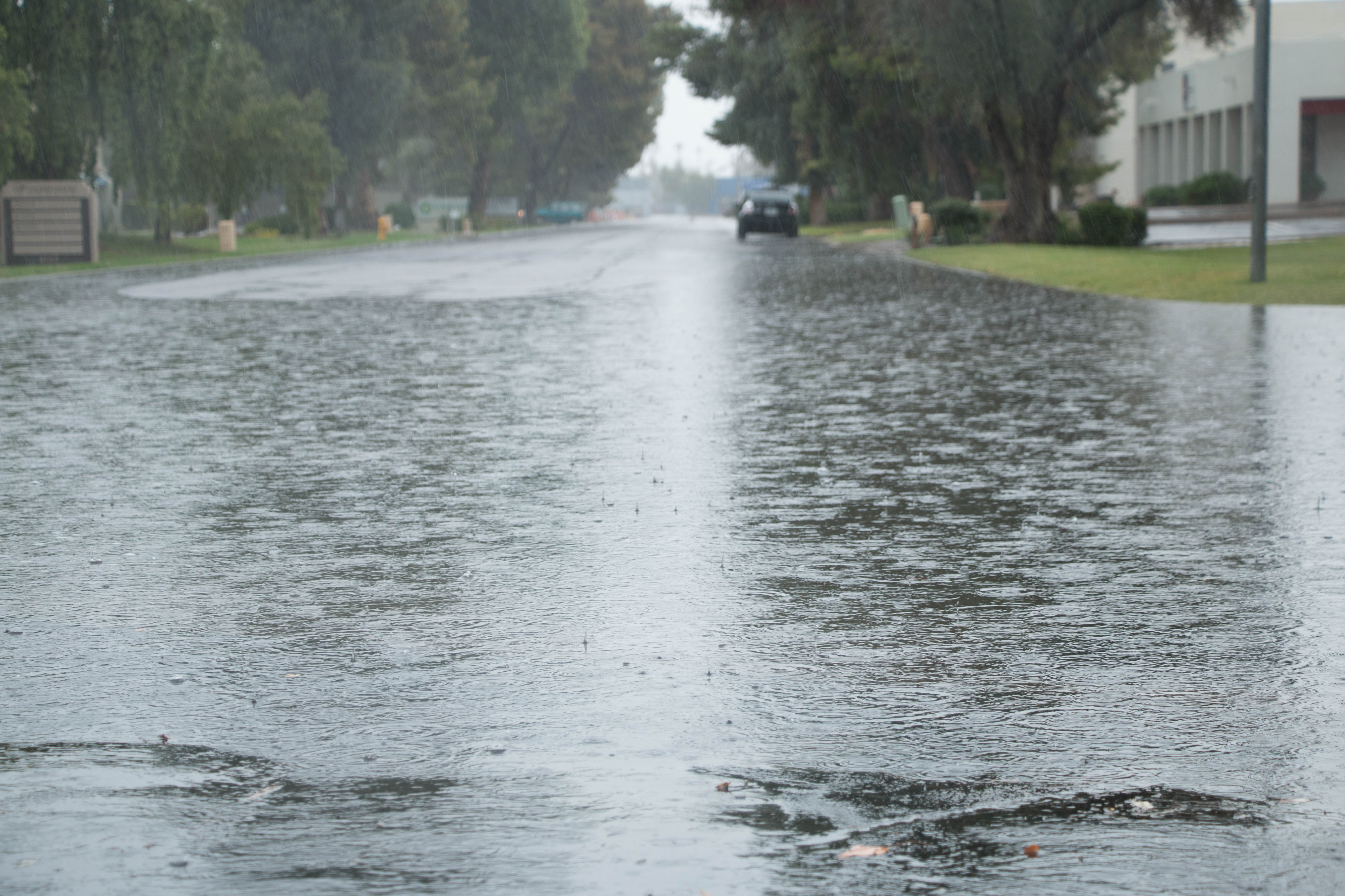 phoenix sky harbor rainfall totals phoenix sky harbor rainfall totals