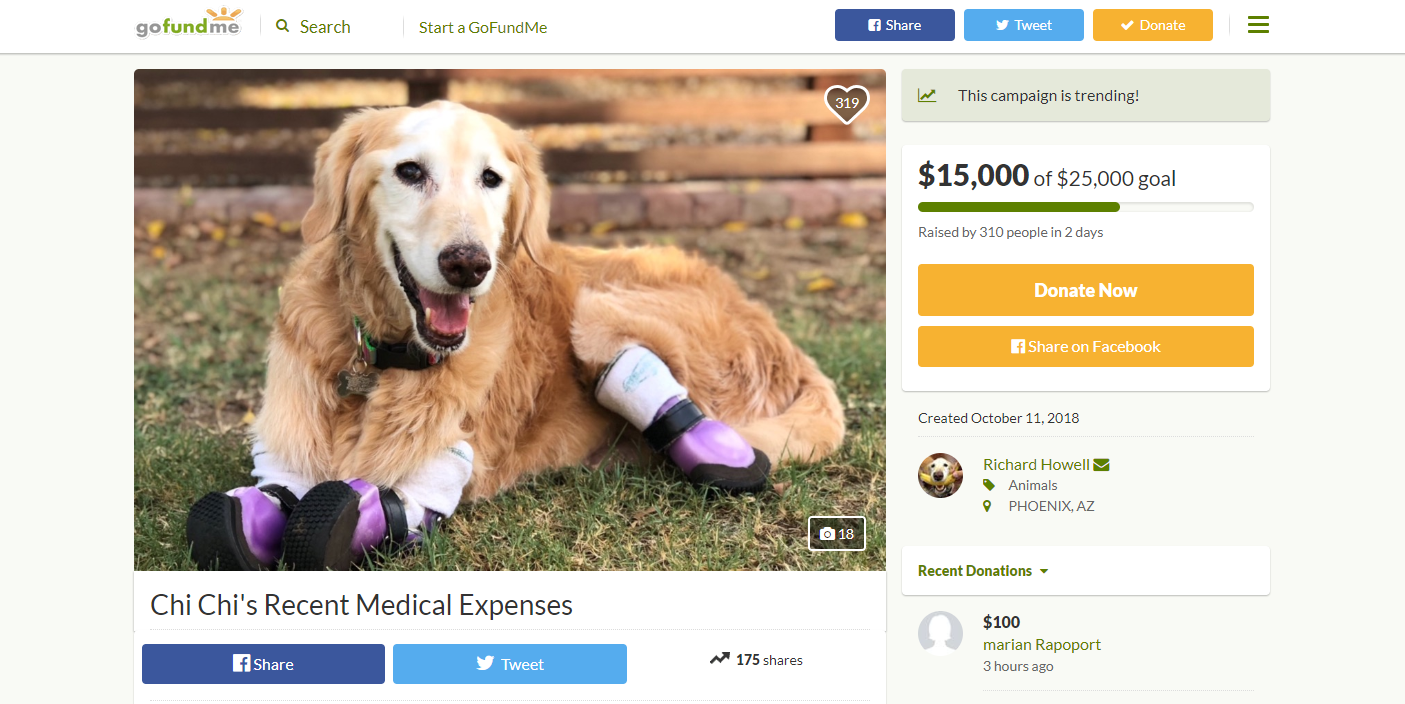 Chi Chi, a quadruple amputee therapy dog, receives $15,000 in donations over two days
